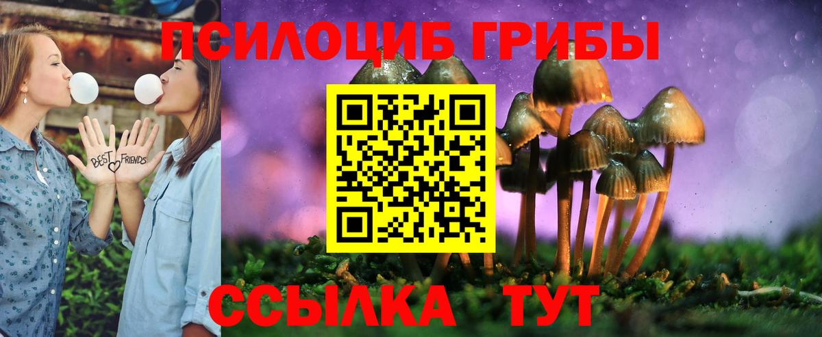 Галлюциногенные грибы Psilocybine cubensis Ленинск-Кузнецкий