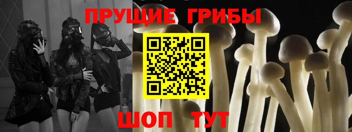 Ленинск-Кузнецкий  Галлюциногенные грибы GOLDEN TEACHER  Вход с VPN 